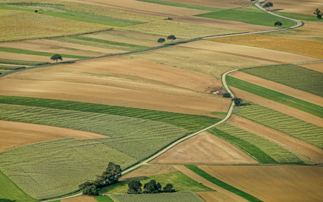 Sustainable Biofuels from Low-Producing Lands